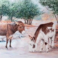 Karen Frampton, New Forest Artist, paintings, greeting cards, murals, slate, Hampshire, UK